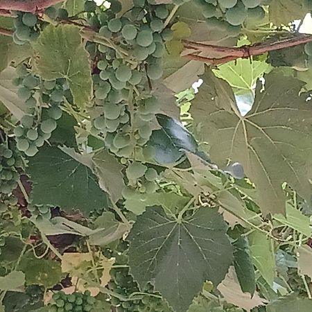 Vardzia Сhachkari Ngoại thất bức ảnh